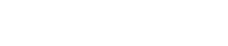 Integrator Integrator